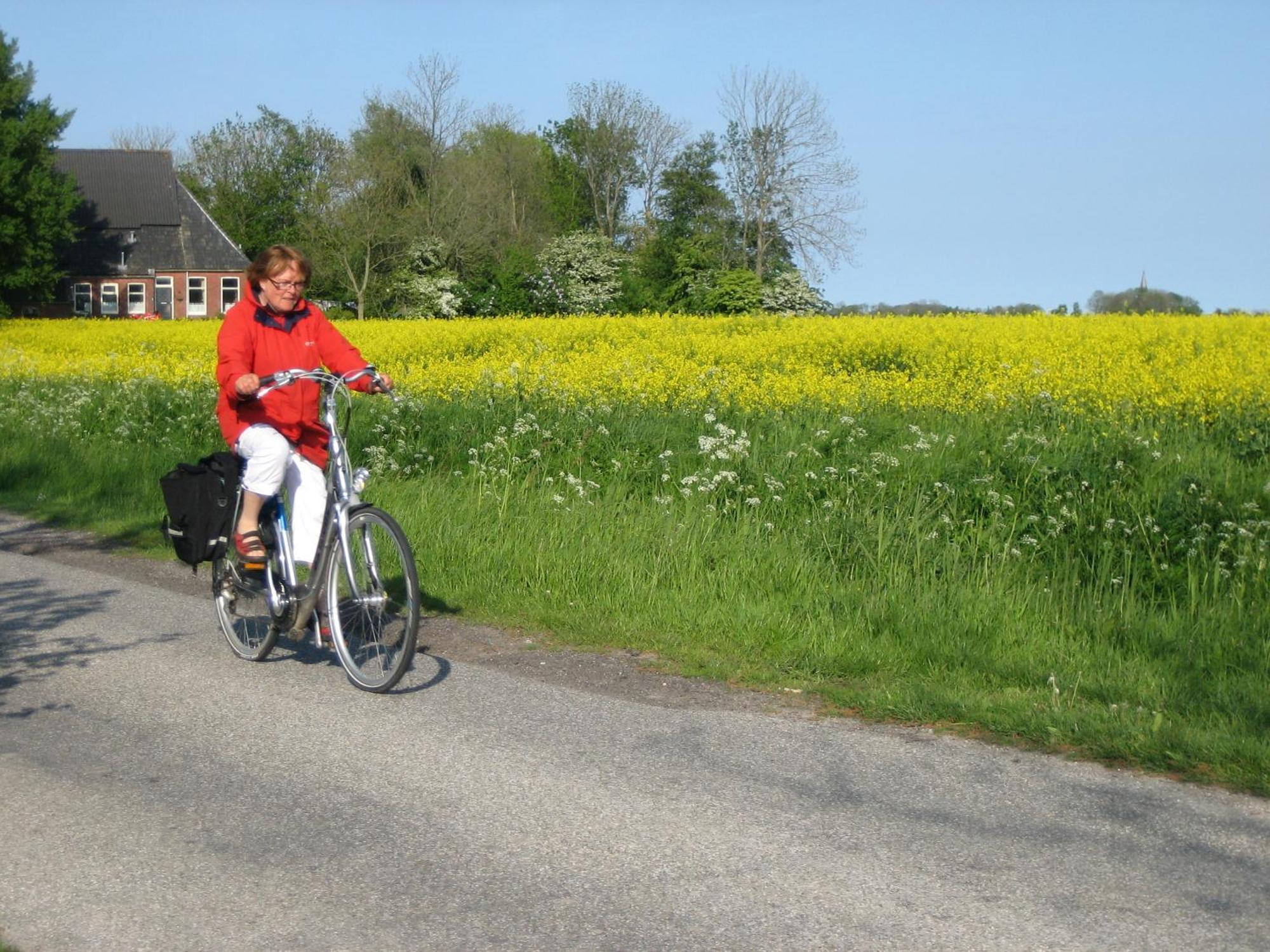Finisterre Panzió Saaxumhuizen Kültér fotó