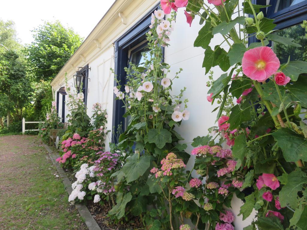 Finisterre Panzió Saaxumhuizen Kültér fotó